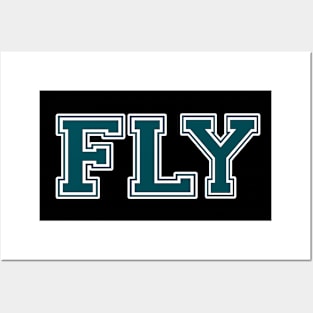 Fly Posters and Art